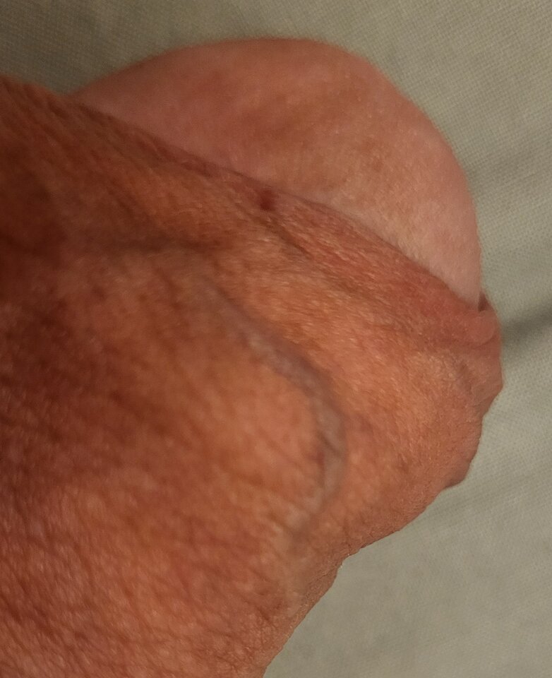 1000030797.jpg - Swintuszek75