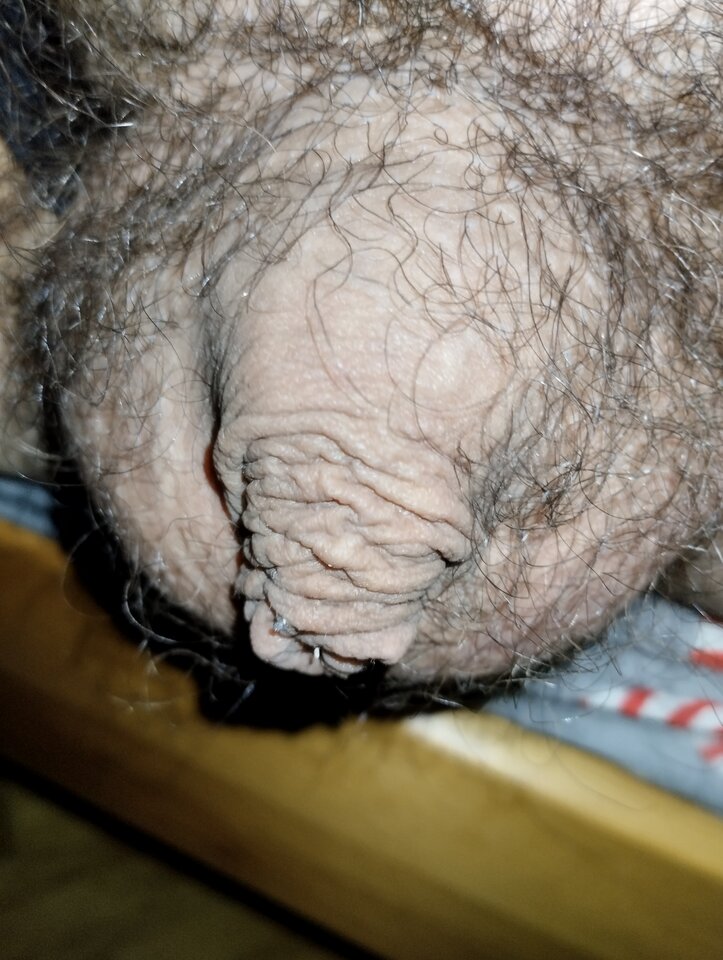 IMG_20250312_045514.jpg - smakwaginy