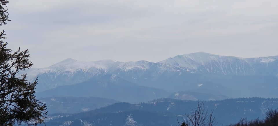 1000001211.jpg - Freyan