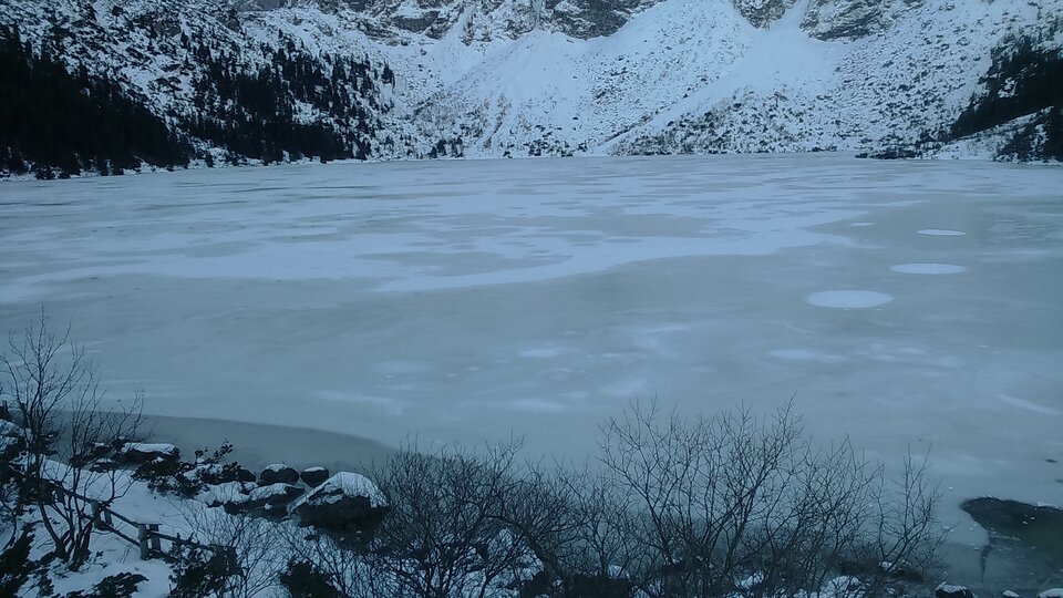 DSC_0043.JPG - pitagoras1217a