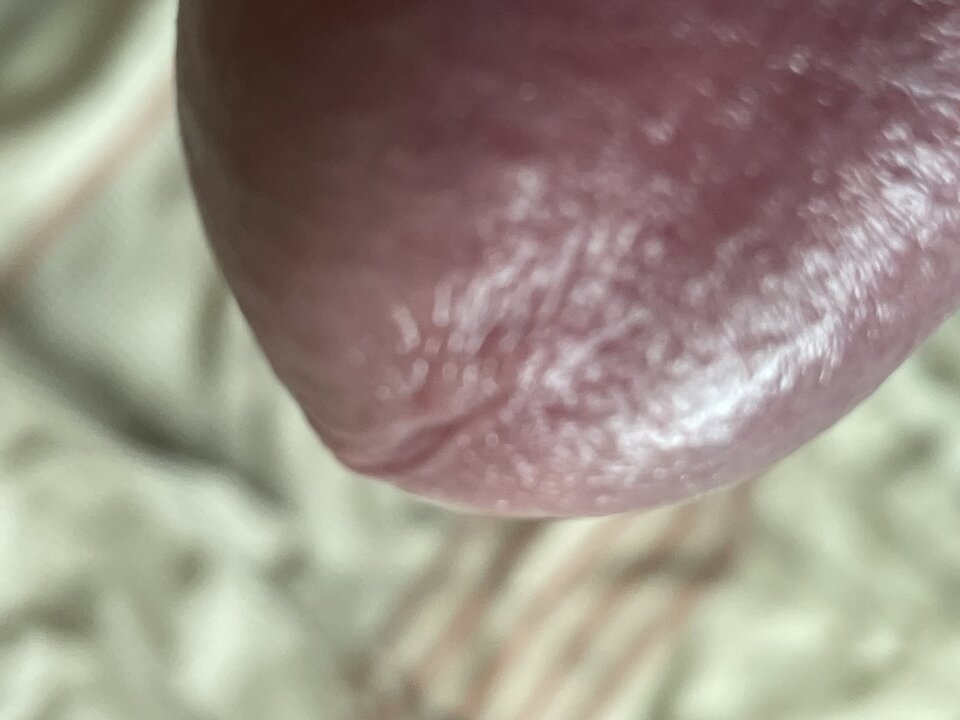 IMG_0087.jpeg - PiotrWlkp