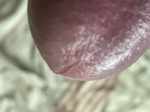 PiotrWlkp