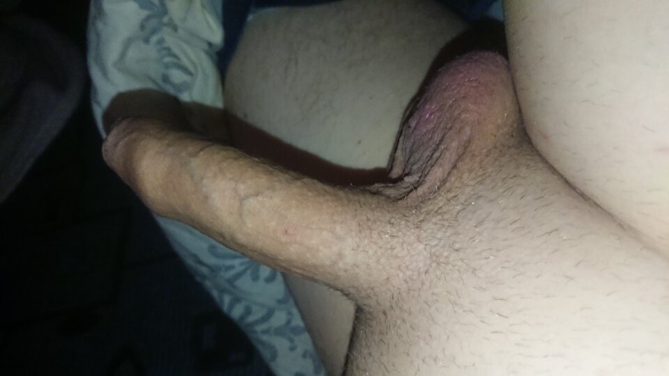 DSC_0019_optimized_optimized_optimized_optimized_123254.jpg - szary154