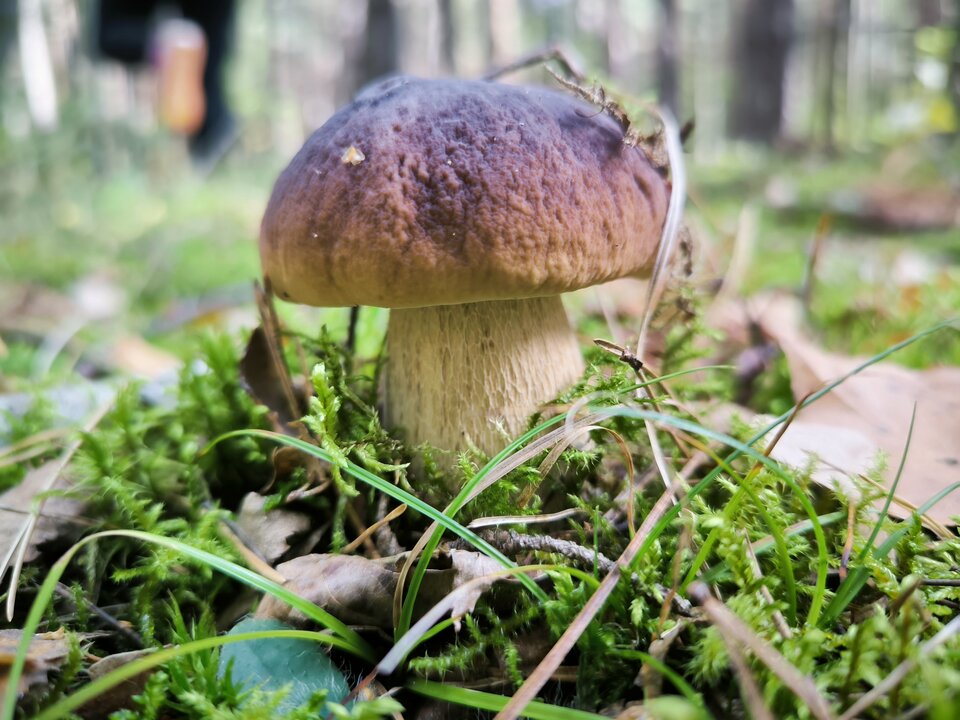 1000013437.jpg - Asasyn787