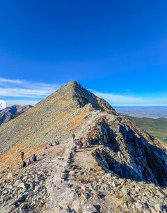 Screenshot_20250313-164257_Samsung Internet.jpg