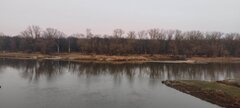 IMG_20250313_174911.jpg