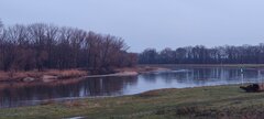 IMG_20250313_175204.jpg