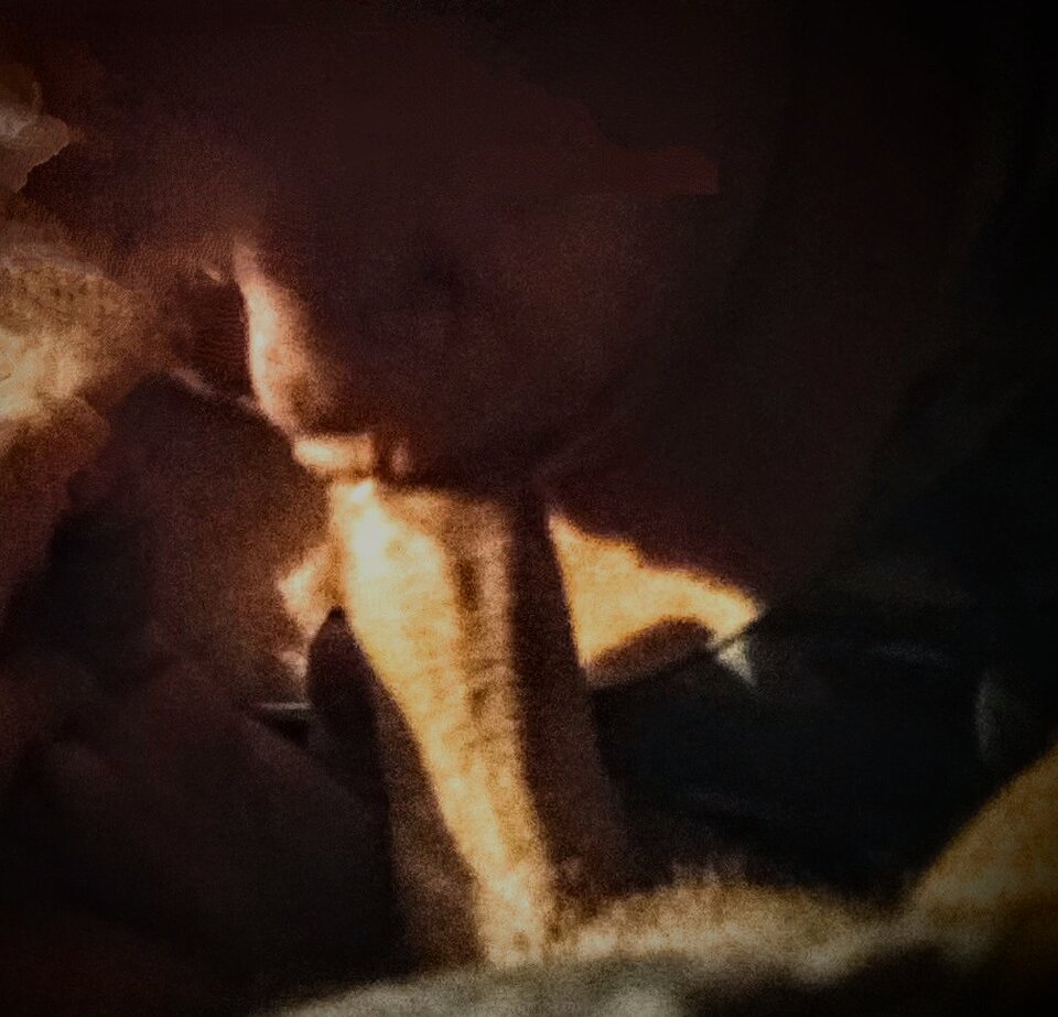 VID_20241130_220152_exported_6007~4.jpg - Parkaplock69