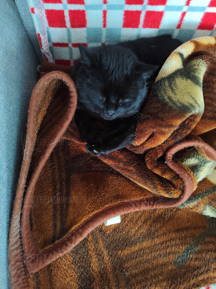 1000006103.jpg - Jestemjakwino78_2