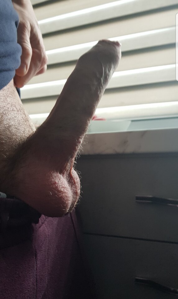 20250314_121431.jpg - harryraider