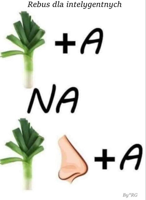 Rebus 👇 🫢 - fisu