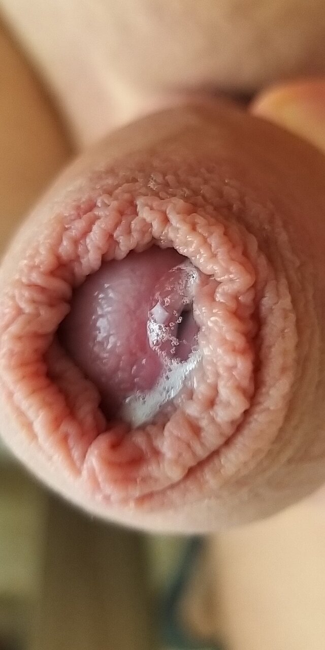 Misiakowy1