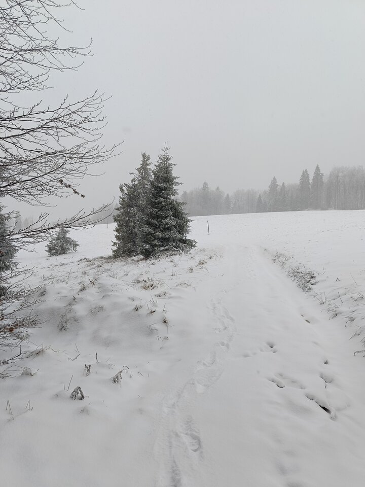 1000006830.jpg - Lukaseg