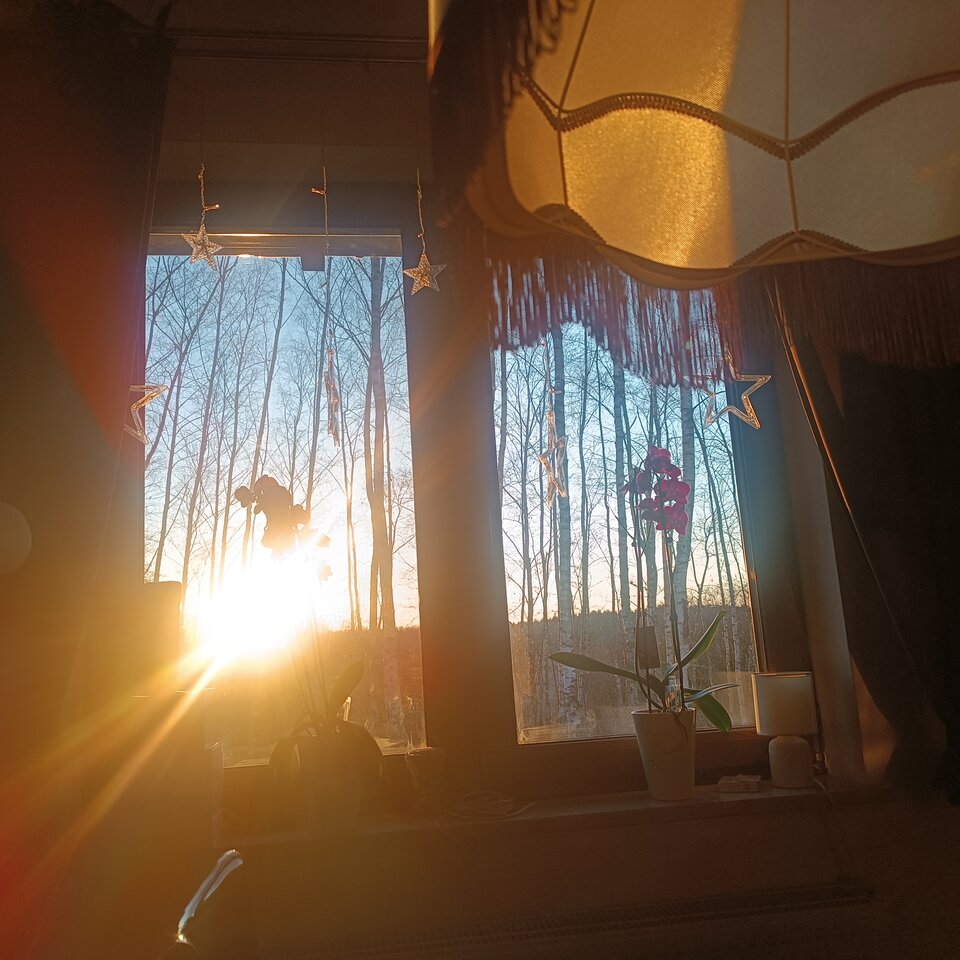 Spoglądając przez okno przed zachodem słońca... 😎 - Gregorja