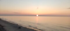 IMG_20250326_175135.jpg