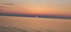 IMG_20250324_175307.jpg