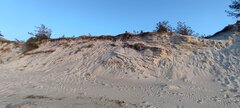 IMG_20250315_170400.jpg