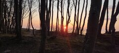 IMG_20250315_174322.jpg