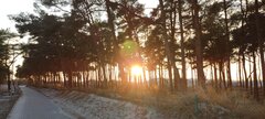 IMG_20250315_172310.jpg