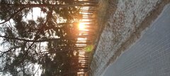 IMG_20250315_172308.jpg