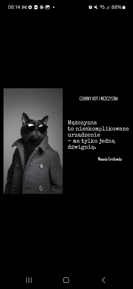 1000034362.jpg - Bi_para_KiP