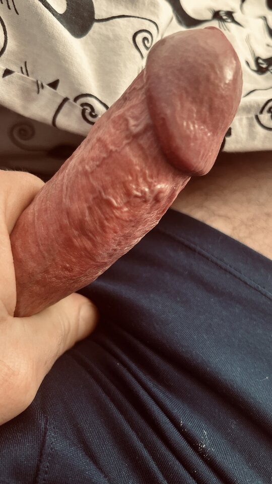 IMG_3581.jpeg - bondjames728