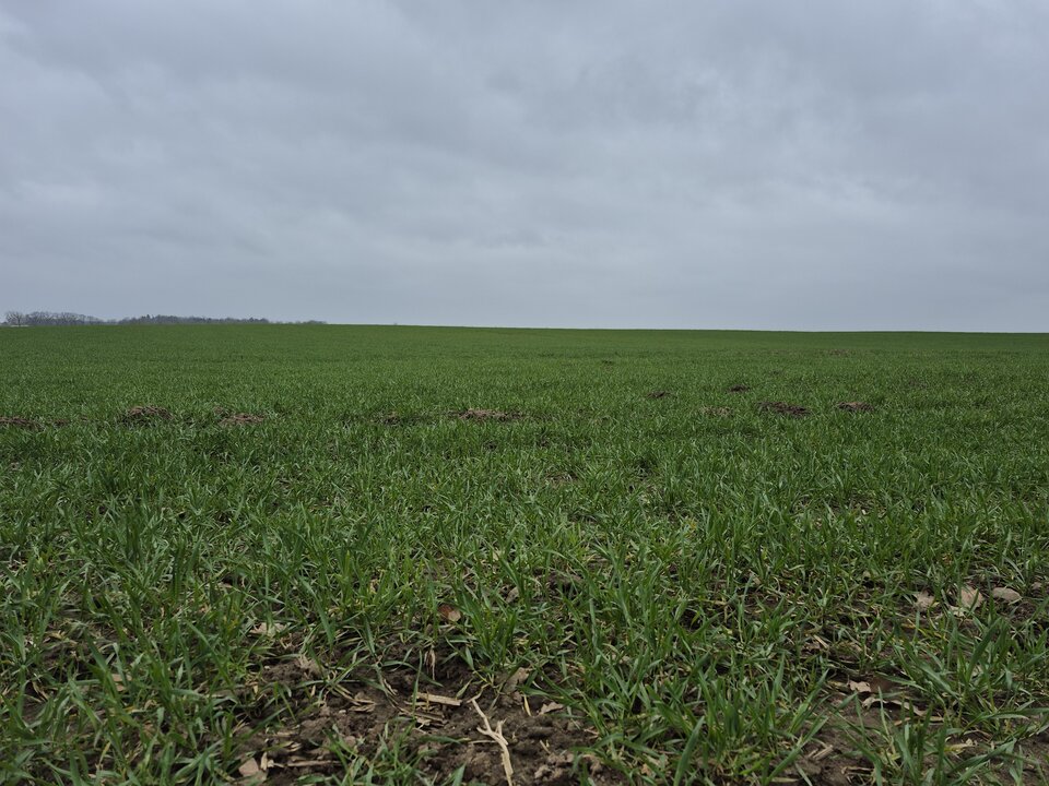 1000020948.jpg - Miniek234