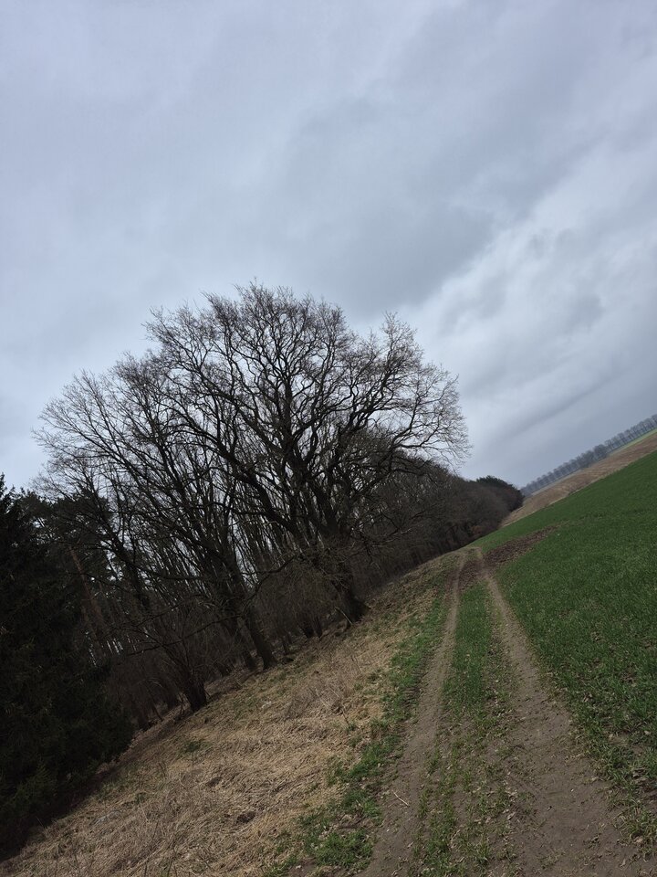 1000020949.jpg - Miniek234