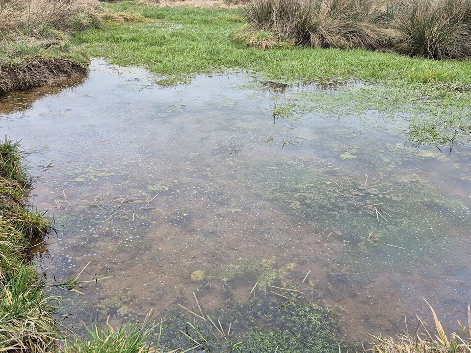 1000020956.jpg - Miniek234