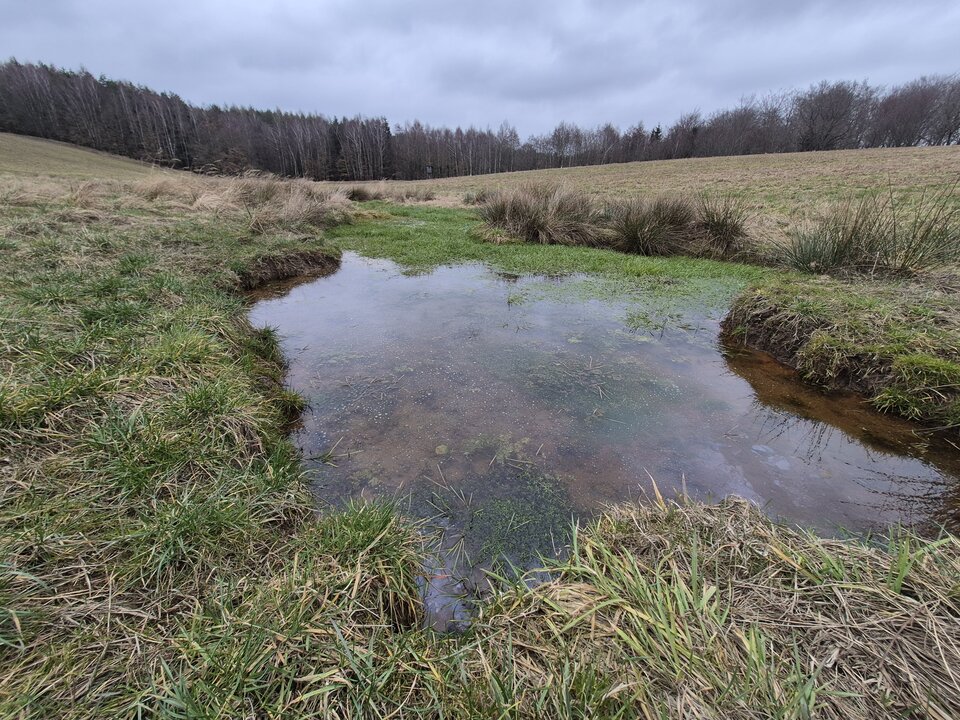 1000020957.jpg - Miniek234