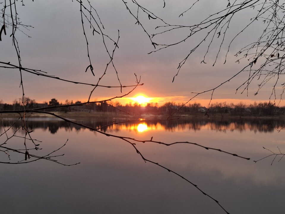 20250309_171856.jpg - WysokaKobieta