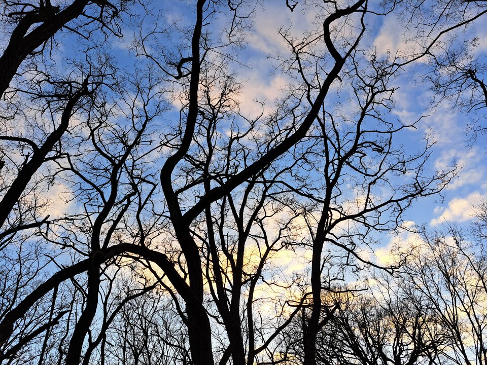 1000031021.jpg - arcik197505