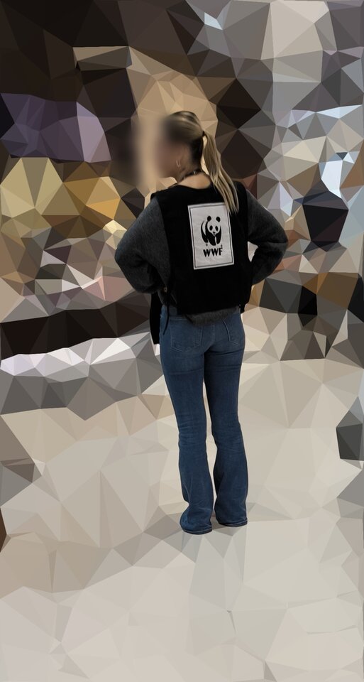 IMG_20250314_091714.jpg - Tulaski