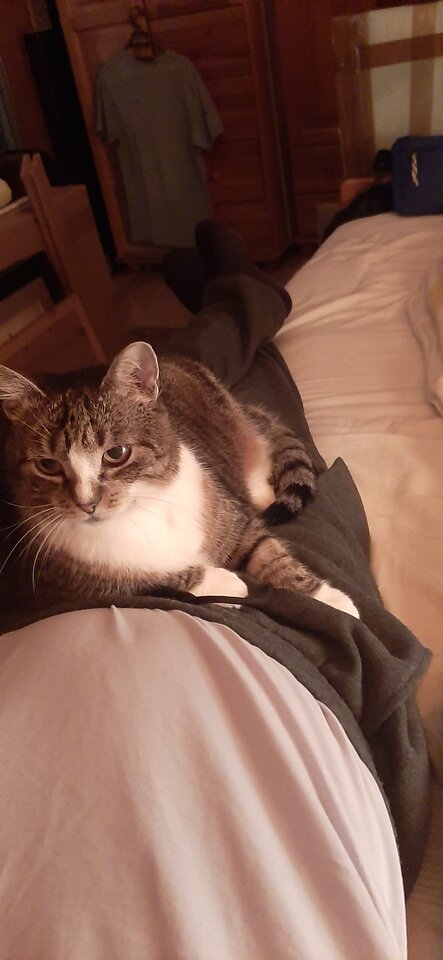 20250317_042206.jpg - Naturysta333