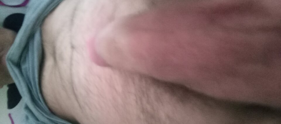 1000001286.jpg - Ralf466