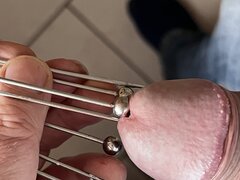 IMG_0303.jpeg