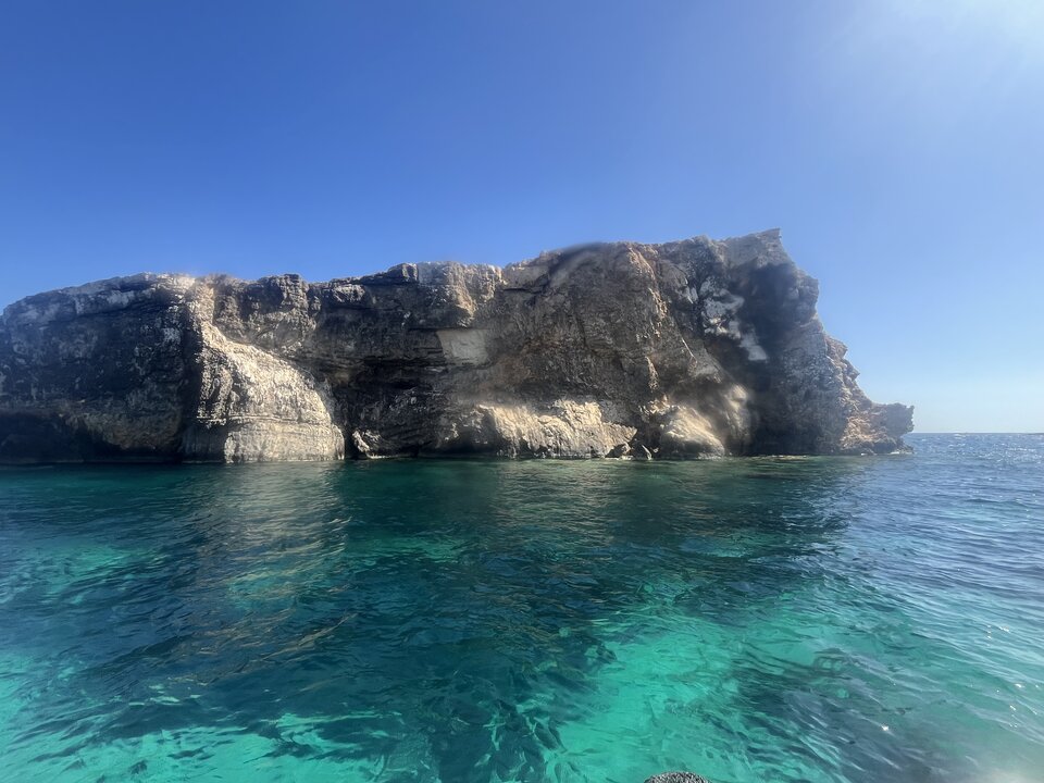 IMG_4313.jpeg - Bi_los