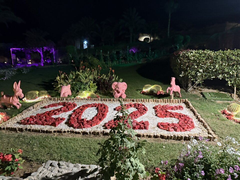 IMG_0324.jpeg - Boom1983