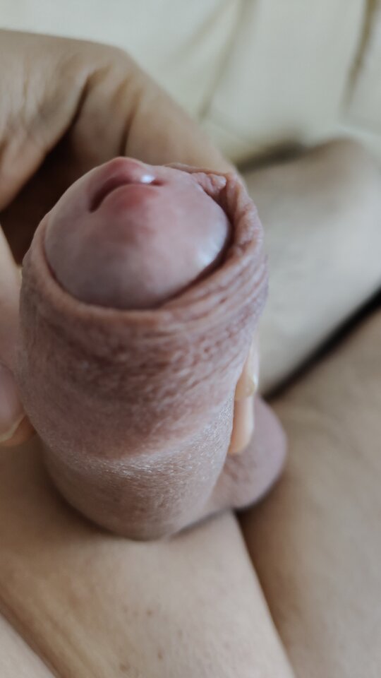 1000001812.jpg - haiko