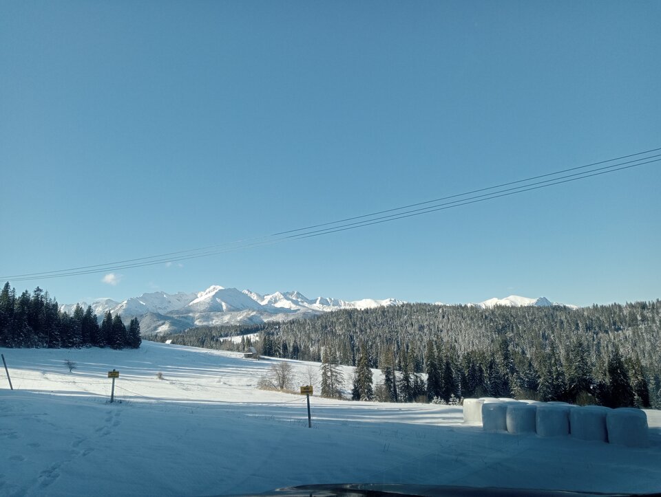 IMG20250318075825.jpg - tropiciel123