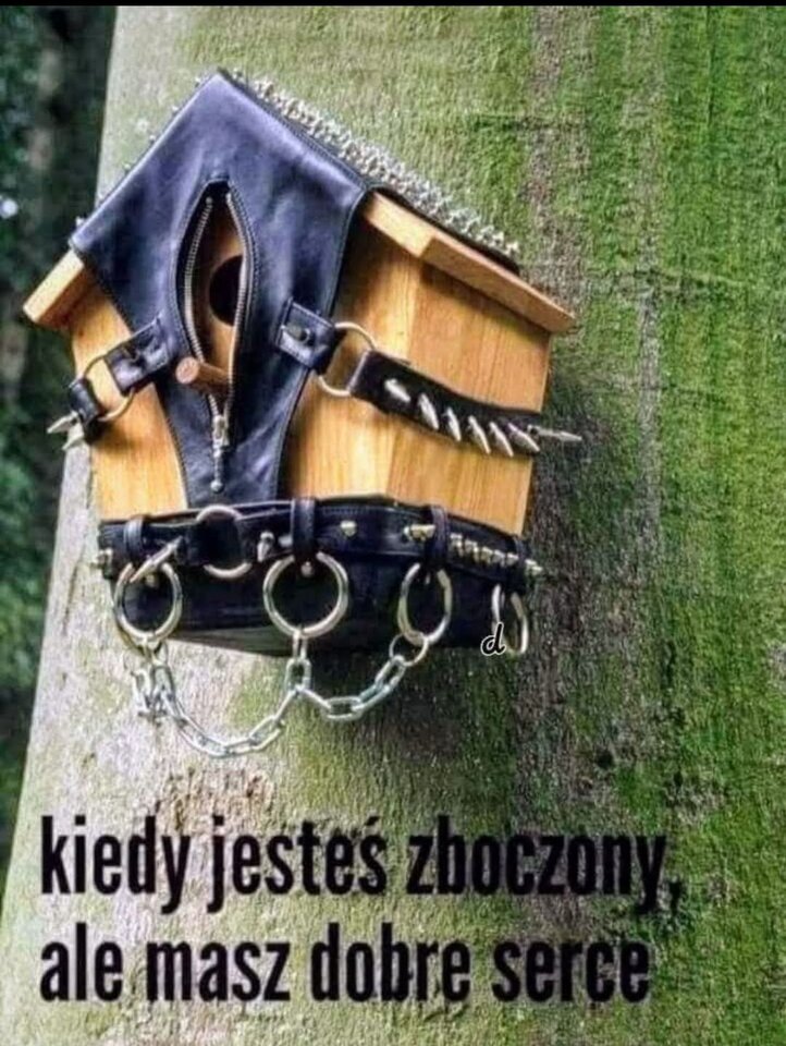 1000016492.jpg - Operator_odkurzacza