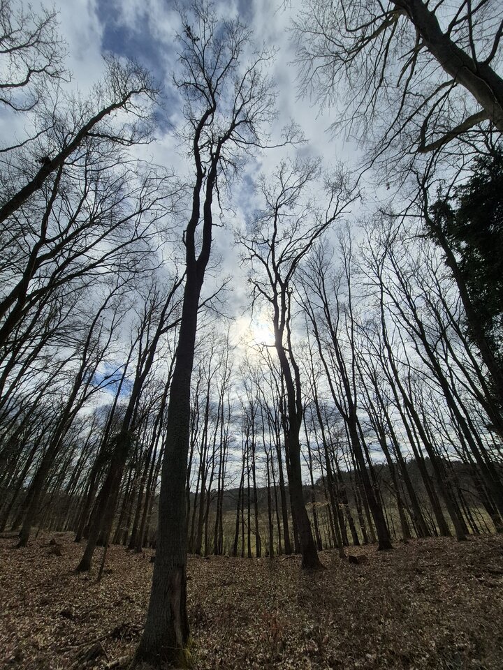 1000021004.jpg - Miniek234