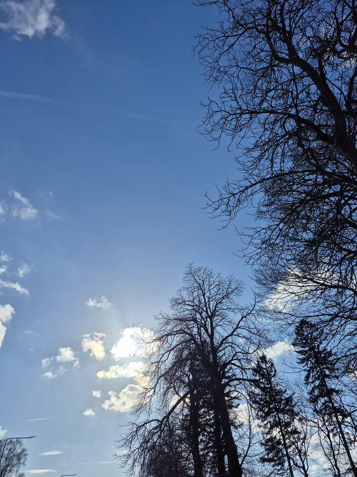 1000021017.jpg - Miniek234