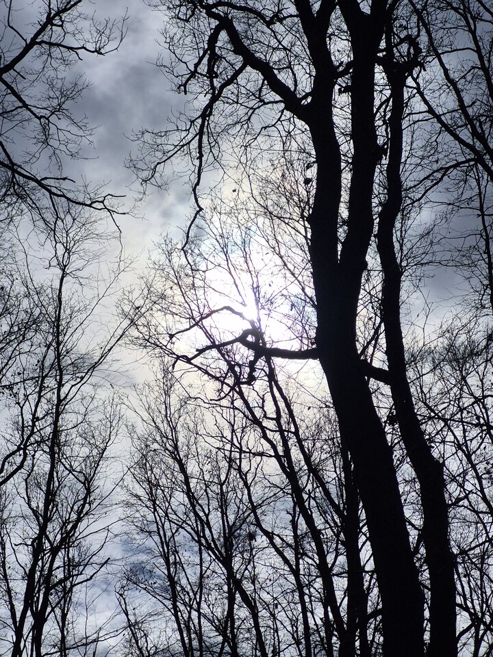 1000021005.jpg - Miniek234