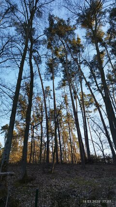 IMG_20250318_170741.jpg