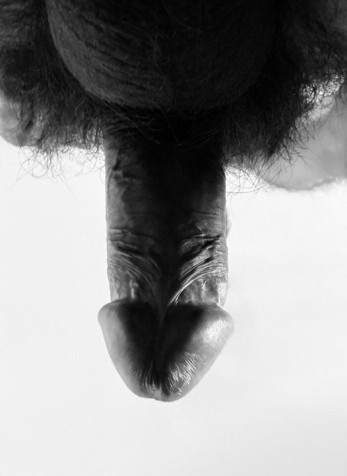 IMG_5524.jpeg - Mozeteraz91