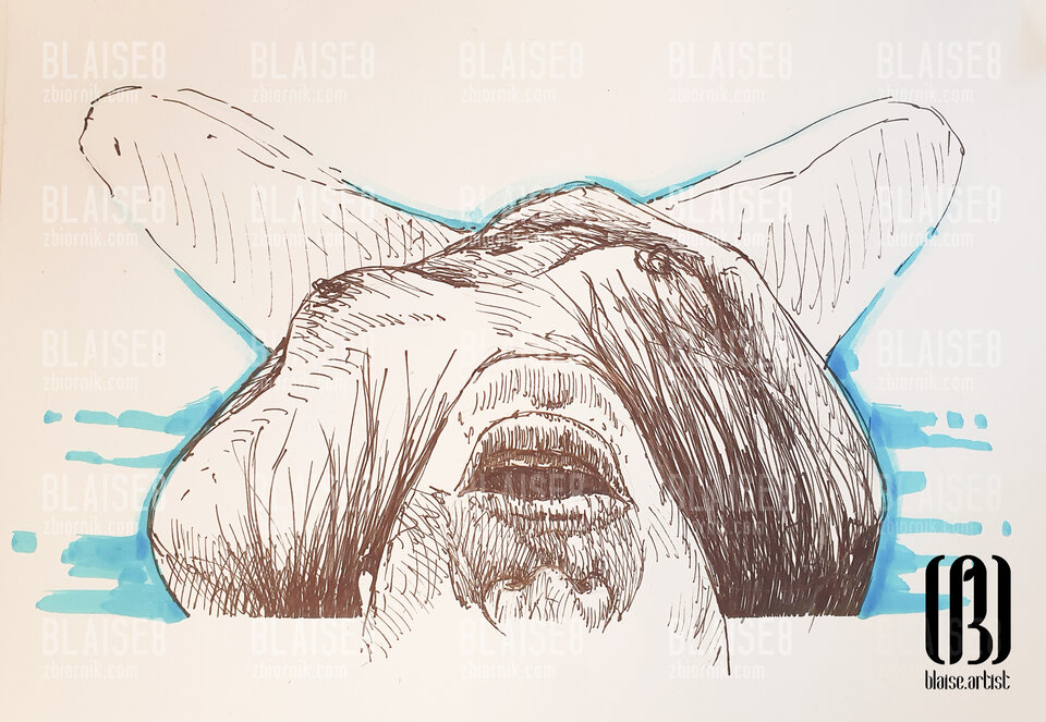 Art. No. 312 - blaise8