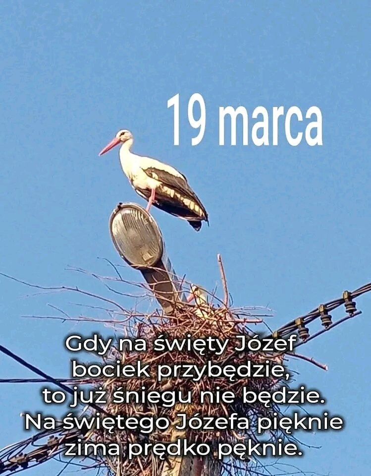 1742399783158.jpg - RealnyWacek21