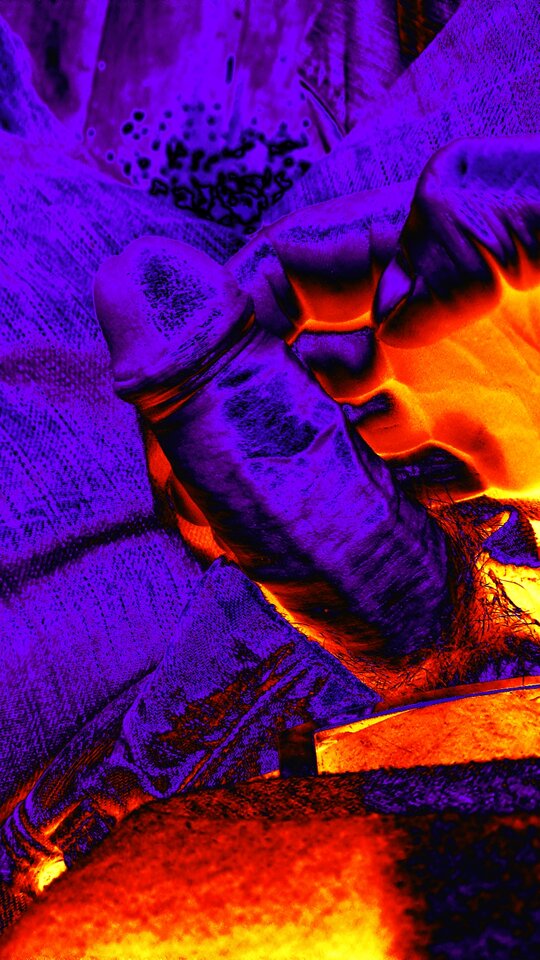 1000004991.jpg - Motyl8888