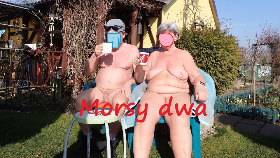 W zimowym słoneczku. - Morsy_dwa